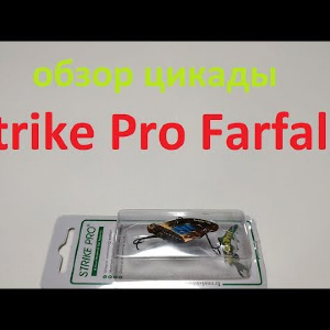 Видеообзор цикады Strike Pro Farfalla по заказу Fmagazin