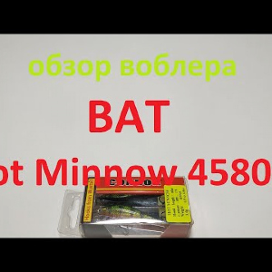 Видеообзор воблера BAT Hot Minnow 458055 по заказу Fmagazin