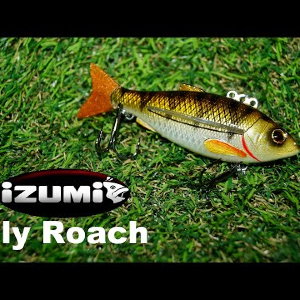 Обзор балансира Izumi Fly Roach по закзу Fmagazin