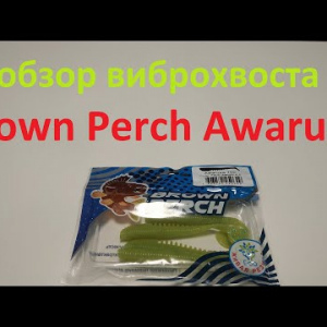 Видеообзор виброхвоста Brown Perch Awaruxa по заказу Fmagazin