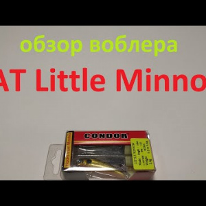 Видеообзор воблера BAT Little Minnow 457050 по заказу Fmagazin