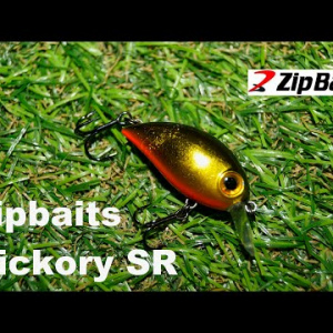 Обзор воблера Zipbaits Hickory SR по заказу Fmagazin