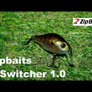Обзор воблера Zipbaits B Switcher 1.0 по заказу Fmagazin