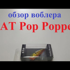 идеообзор поппера BAT Pop Popper по заказу Fmagazin