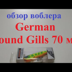 Видеообзор воблера German Sound Gills 70 мм по заказу Fmagazin