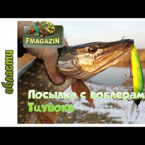 Обзор посылки с крупными воблерами TsuYoki и шнурами из Fmagazin.ru