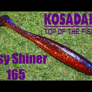 Обзор силиконовой приманки Kosadaka Easy Shiner 165 по заказу Fmagazin