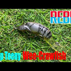 Обзор воблера Rebel Deep Teeny Wee-Crawfish по заказу Fmagazin