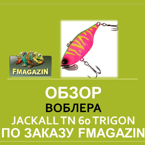 Обзор воблера Jackall TN 60 Trigon для Fmagazin