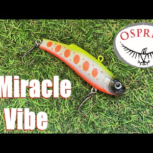 Обзор виба Osprey C-Miracle Vibe по заказу Fmagazin
