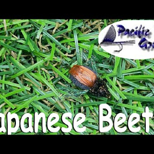 Обзор мушки PFG Japanese Beetle по заказу Fmagazin