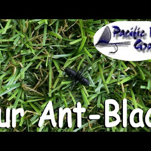 Обзор мушки PFG Fur Ant-Black по заказу Fmagazin