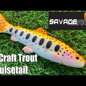 Обзор силиконовой Savage Gear 3D Craft Trout Pulsetail по заказу Fmagazin