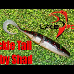 Обзор силиконовой приманки Lake Fork Sickle Tail Baby Shad по заказу Fmagazin