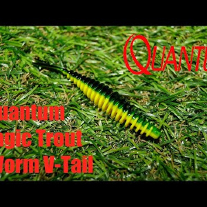 Обзор силиконовой приманки Quantum Magic Trout T-worm V-tail по заказу Fmagazin