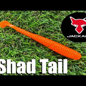 Обзор силиконовой приманки Jackall I Shad Tail по заказу Fmagazin