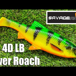Обзор силиконовой приманки Savage Gear 4D LB River Roach по заказу Fmagazin