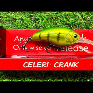 Обзор воблера Champion Celeri Crank 56MR по заказу Fmagazin