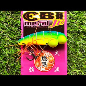 Обзор цикады Ryugi Ebi Metal Jr. по заказу Fmagazin