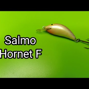 Обзор воблера Salmo Hornet F по заказу FMagazin