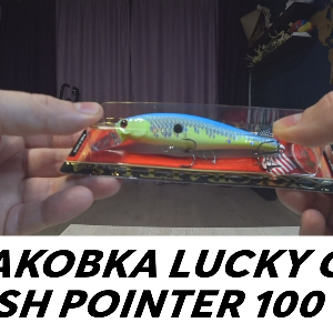 Распаковка воблера Lucky Craft Flash Pointer 100