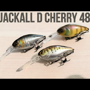 Обзор на воблер Jackall D Cherry 48 для Fmagazin.ru